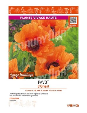 PAPAVER orientale voir PAVOT d’Orient (orange)