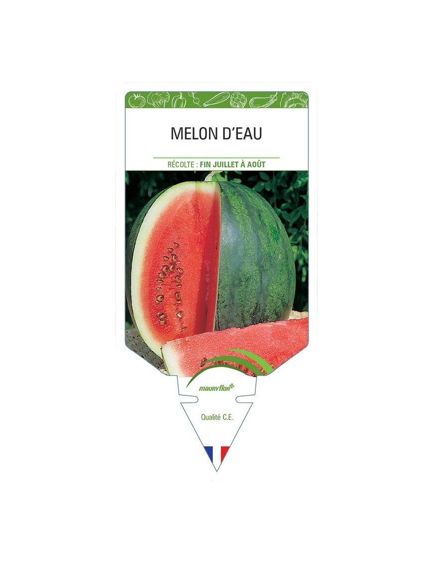 MELON D'EAU