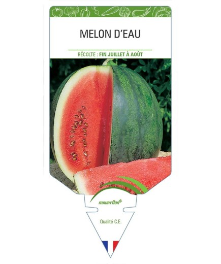 MELON D'EAU