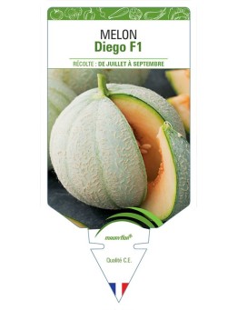 MELON DIEGO F1
