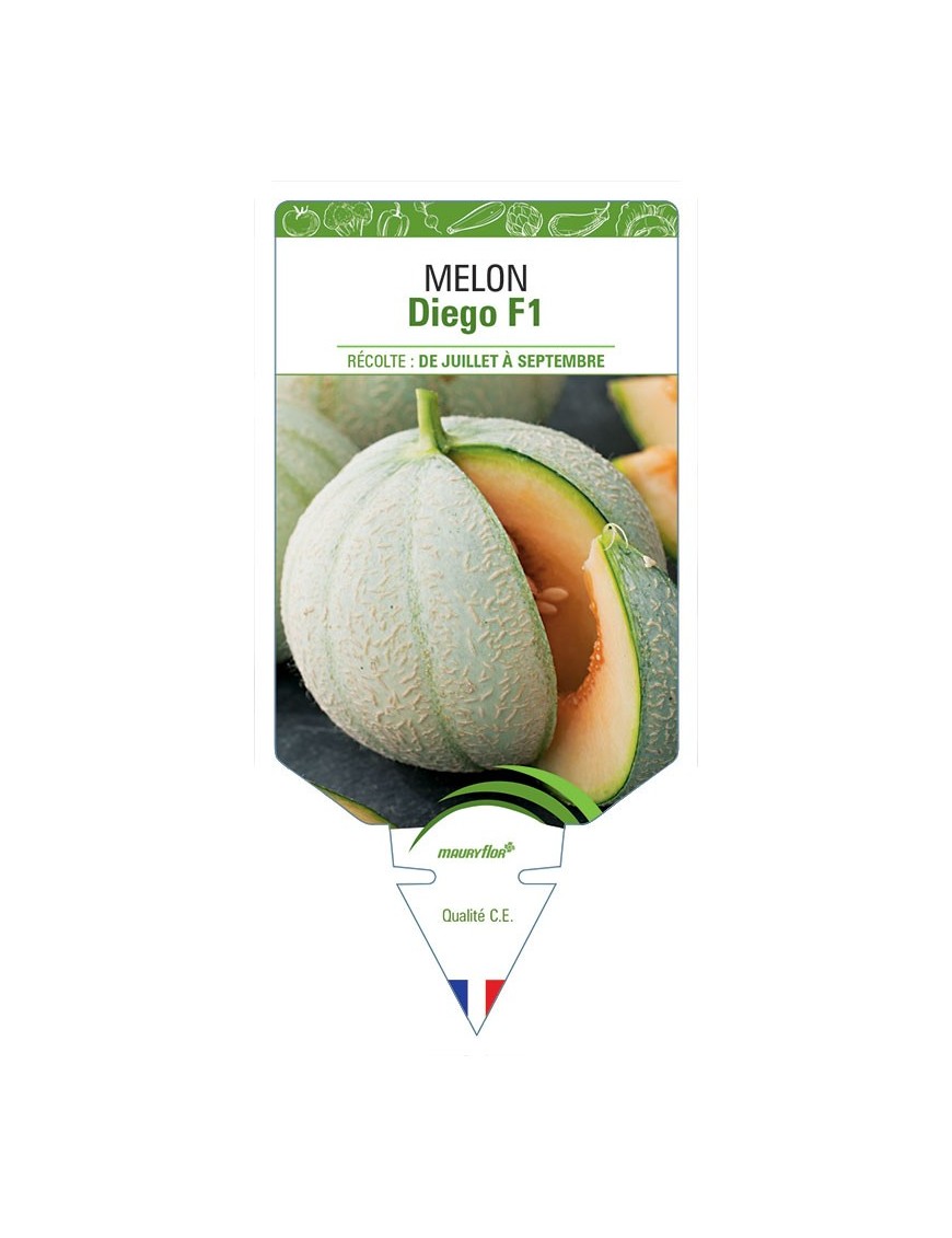 MELON DIEGO F1