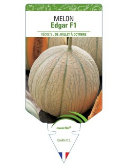 MELON EDGAR F1