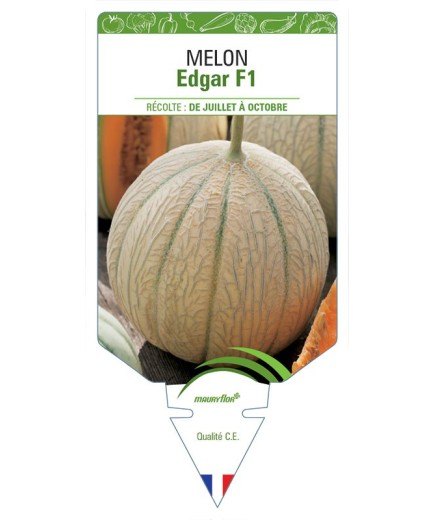 MELON EDGAR F1