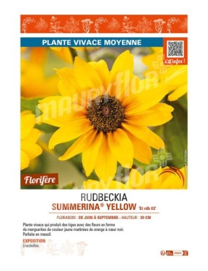 RUDBECKIA SUMMERINA® YELLOW