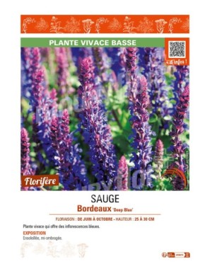 SAUGE Bordeaux Deep Blue