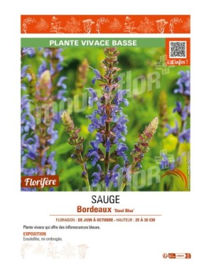 SAUGE Bordeaux Steel Blue