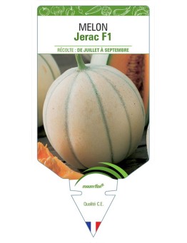 MELON JERAC F1