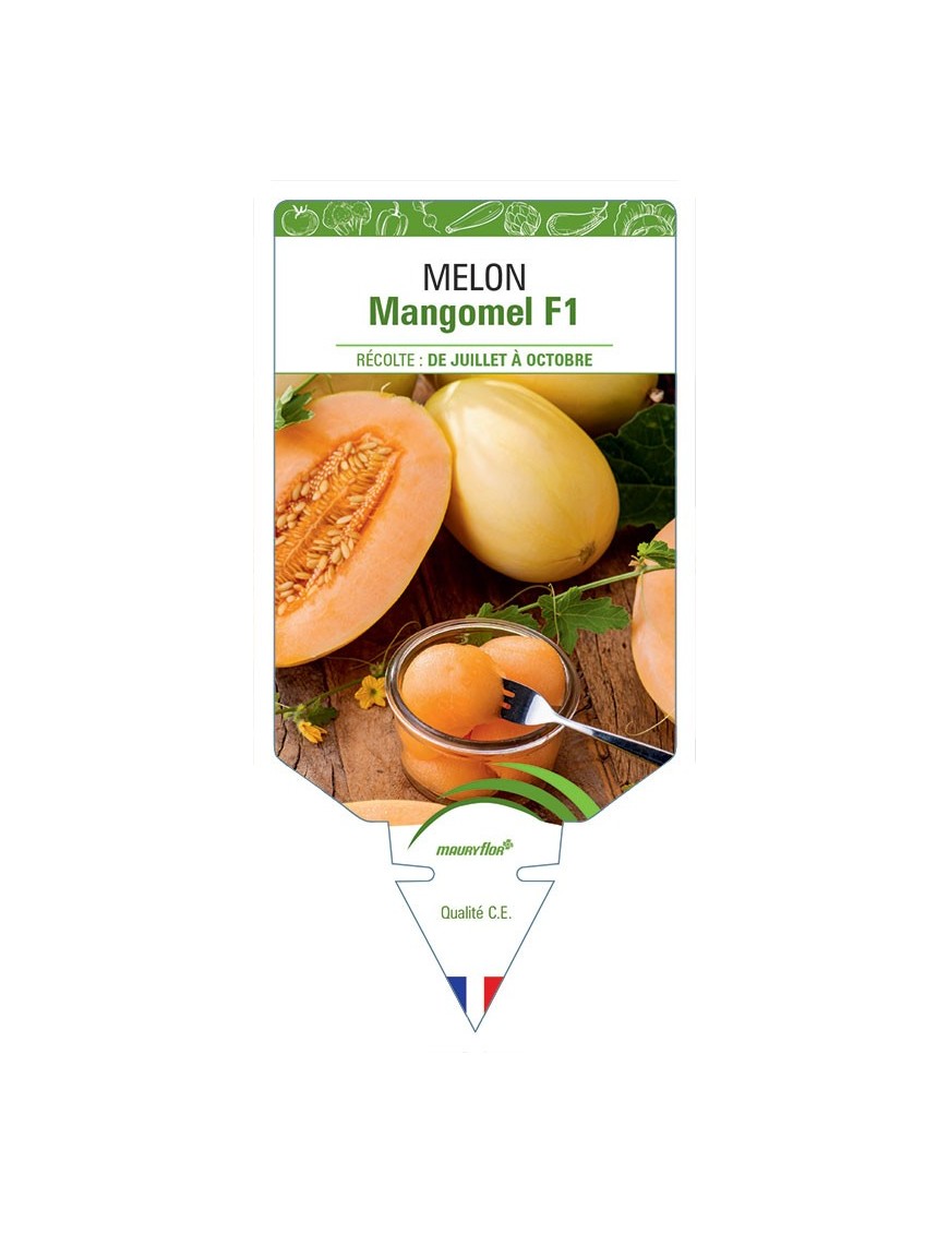 MELON MANGOMEL F1