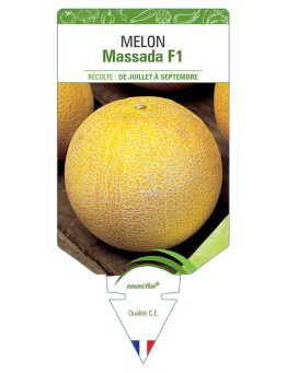 MELON MASSADA F1