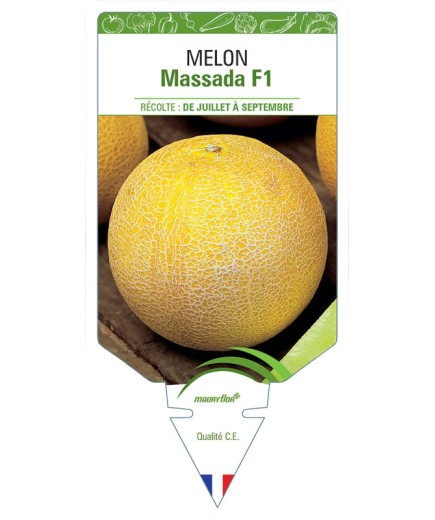 MELON MASSADA F1