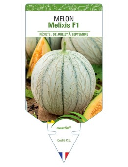 MELON MELIXIS F1