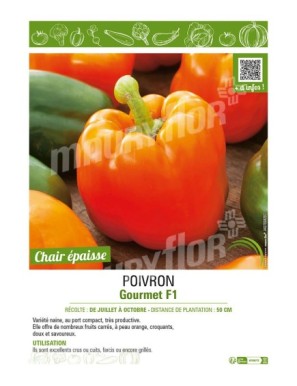 POIVRON Gourmet F1