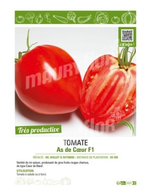 TOMATE AS DE CŒUR F1