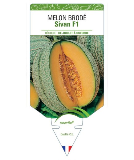 MELON SIVAN F1 (BRODÉ)