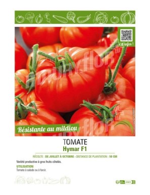 TOMATE HYMAR F1