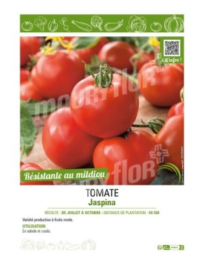 TOMATE JASPINA