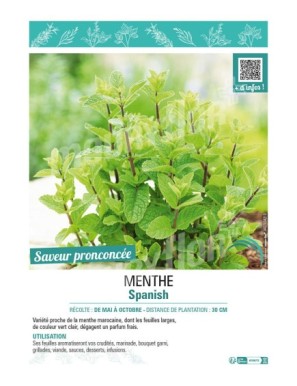 MENTHE SPANISH