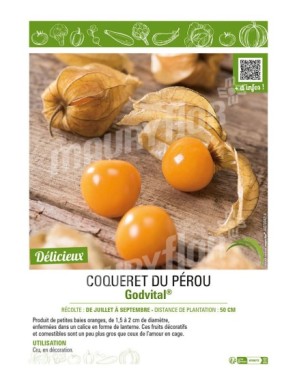 COQUERET DU PÉROU Godvital®