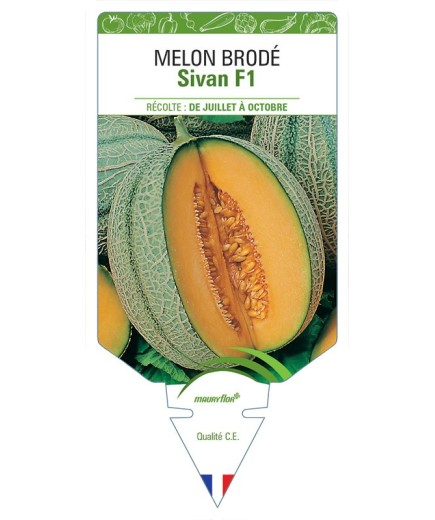 MELON SIVAN F1 (BRODÉ)