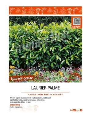 LAURIER-PALME