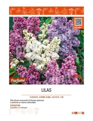 LILAS