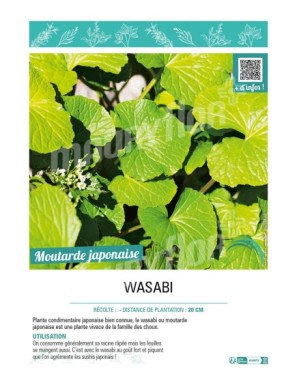 WASABI