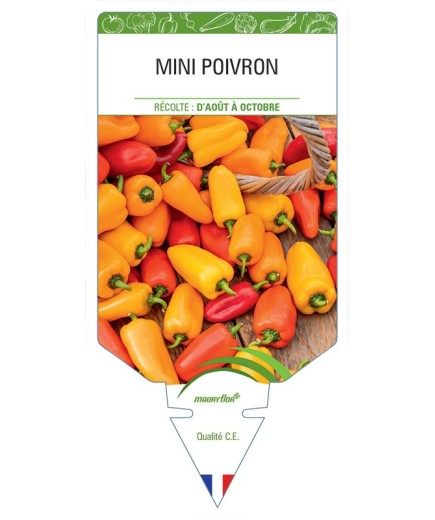 MINI POIVRON