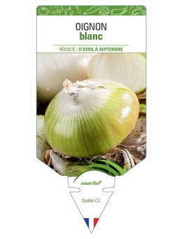 OIGNON BLANC