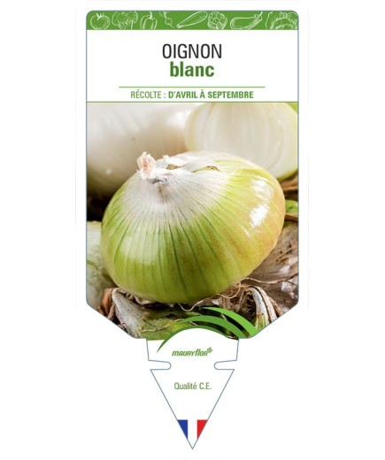 OIGNON BLANC