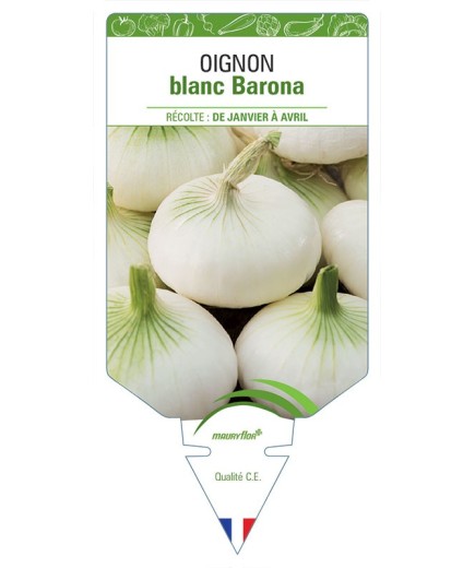 OIGNON BLANC BARONA