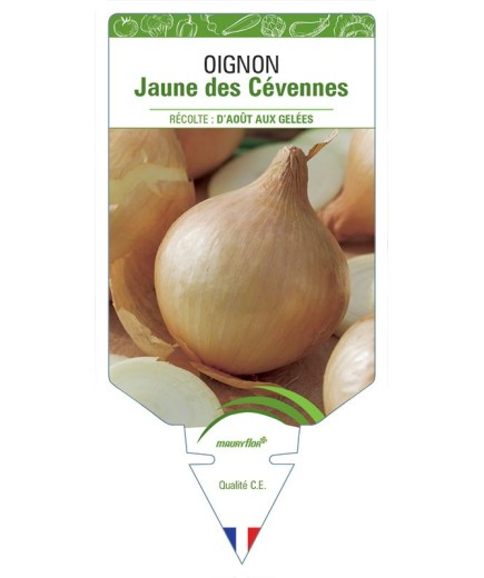 OIGNON JAUNE DES CÉVENNES