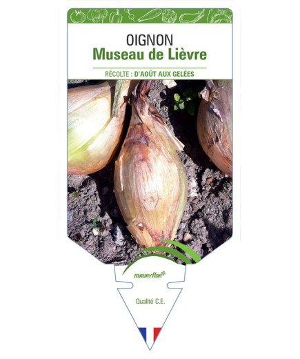 OIGNON MUSEAU DE LIÈVRE