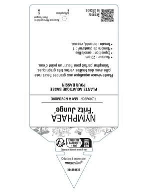 NYMPHAEA 'Fritz Junge'