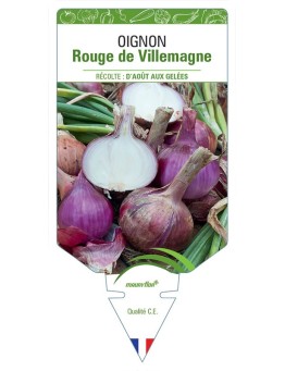 OIGNON ROUGE DE VILLEMAGNE
