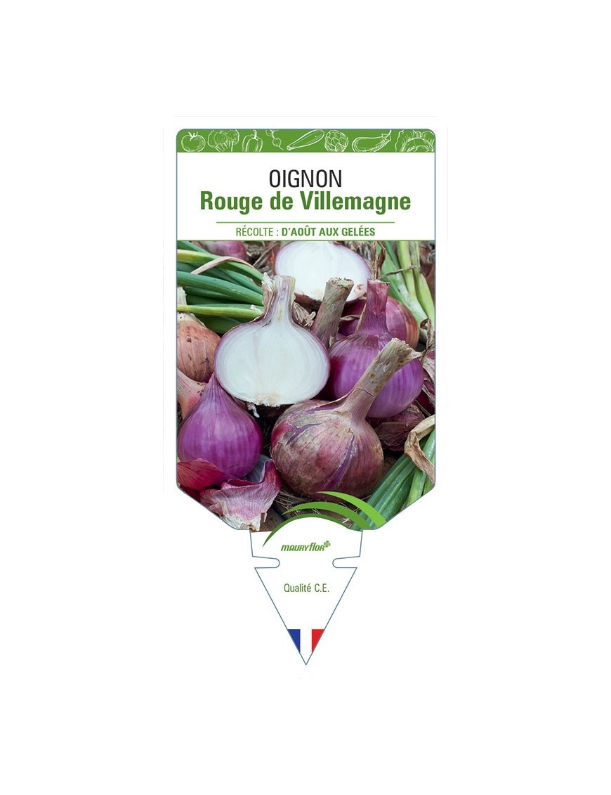 OIGNON ROUGE DE VILLEMAGNE