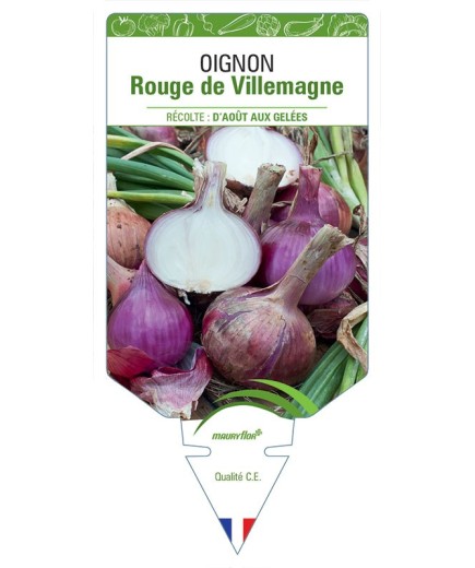 OIGNON ROUGE DE VILLEMAGNE