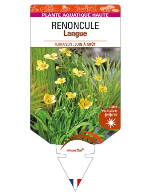 RANUNCULUS lingua voir RENONCULE Langue