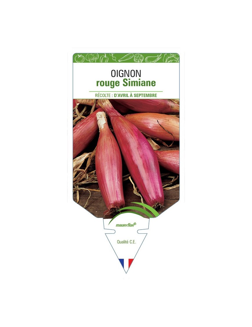 OIGNON ROUGE SIMIANE