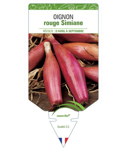 OIGNON ROUGE SIMIANE
