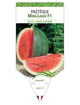 PASTÈQUE MINI-LOVE F1