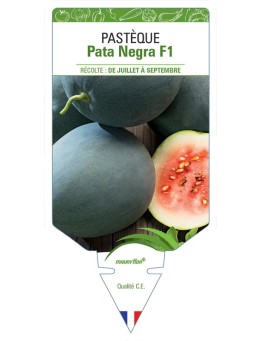 PASTÈQUE PATA NEGRA F1