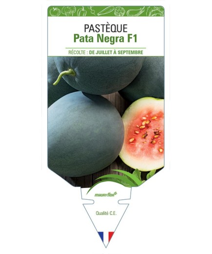 PASTÈQUE PATA NEGRA F1