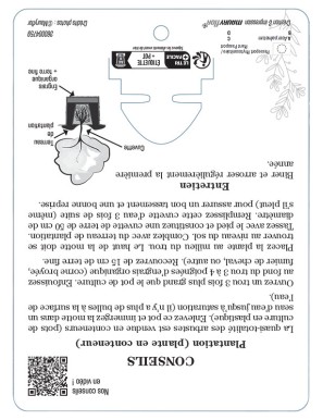 ACER PALMATUM FIRECRACKER voir Érable du Japon