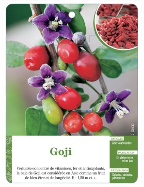 Goji