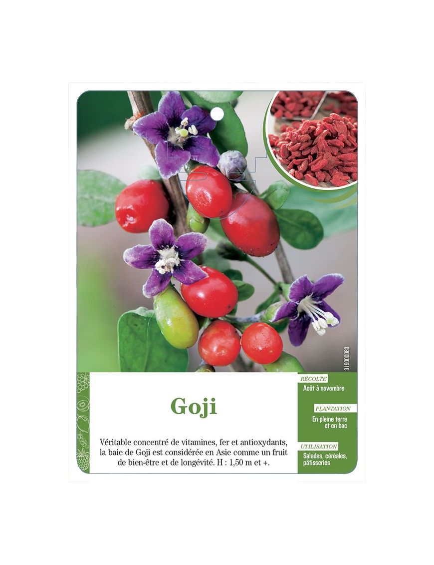 Goji