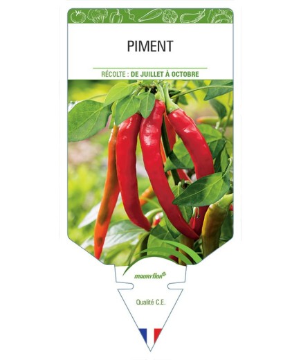 PIMENT