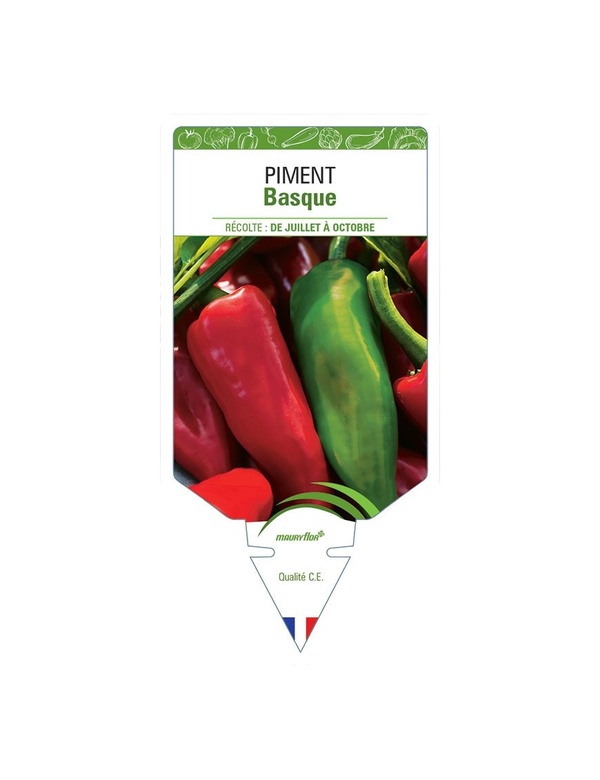 PIMENT BASQUE