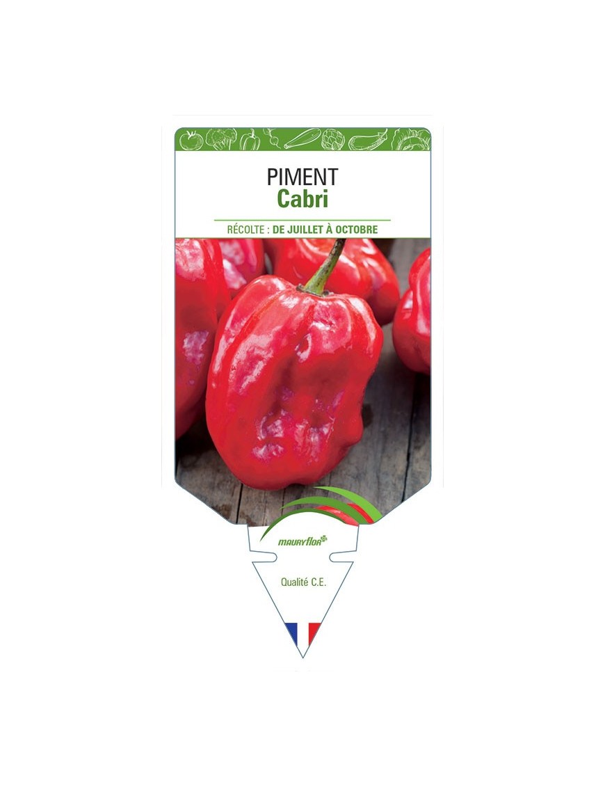 PIMENT CABRI