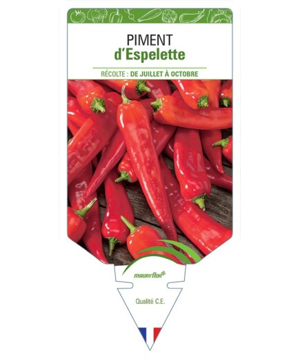 PIMENT D'ESPELETTE