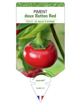 PIMENT DOUX BUTTON RED